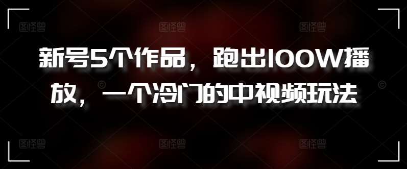 新号5个作品，跑出100W播放，一个冷门的中视频玩法【揭秘】插图零零网创资源网