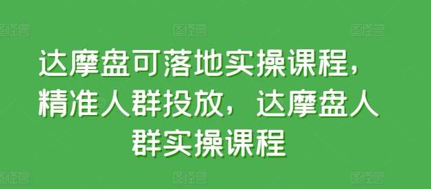 达摩盘可落地实操课程，精准人群投放，达摩盘人群实操课程插图零零网创资源网