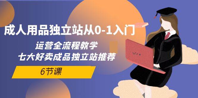 （10082期）成人用品独立站从0-1入门，运营全流程教学，七大好卖成品独立站推荐-6节课插图零零网创资源网