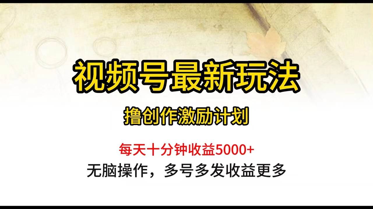 （10087期）视频号最新玩法，每日一小时月入5000+插图零零网创资源网