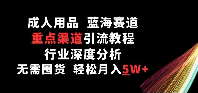 成人用品，蓝海赛道，重点渠道引流教程，行业深度分析，无需囤货，轻松月入5W+【揭秘】插图零零网创资源网