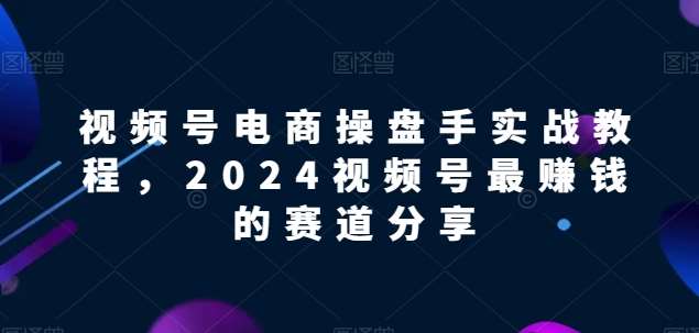 视频号电商实战教程，2024视频号最赚钱的赛道分享插图零零网创资源网