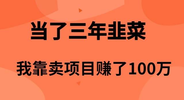 （10149期）当了3年韭菜，我靠卖项目赚了100万插图零零网创资源网