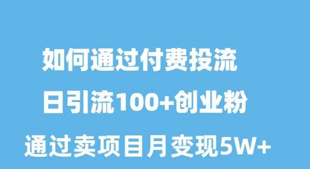 （10189期）如何通过付费投流日引流100+创业粉月变现5W+插图零零网创资源网