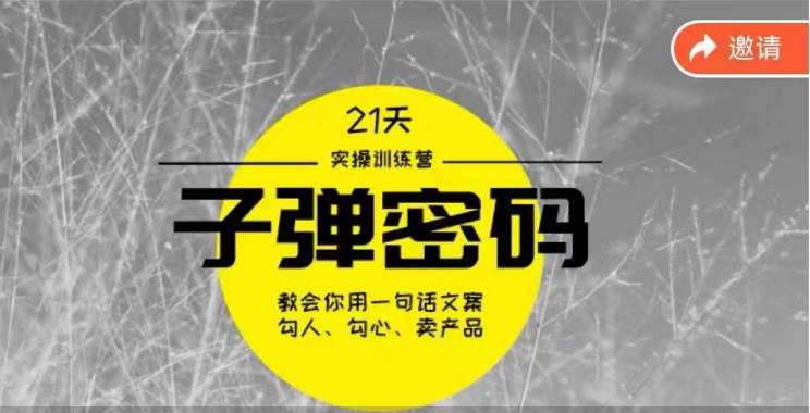 《子弹密码训练营》-用一句话文案勾人勾心卖产品，21天学到顶尖文案大师策略和技巧插图零零网创资源网