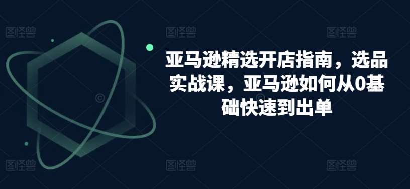 亚马逊精选开店指南，选品实战课，亚马逊如何从0基础快速到出单插图零零网创资源网