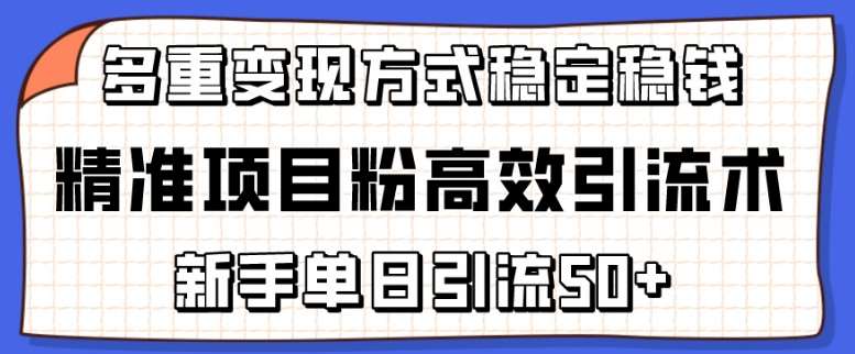 精准项目粉高效引流术，新手单日引流50+，多重变现方式稳定赚钱【揭秘】插图零零网创资源网