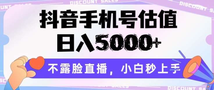 抖音手机号估值，日入5000+，不露脸直播，小白秒上手【揭秘】插图零零网创资源网