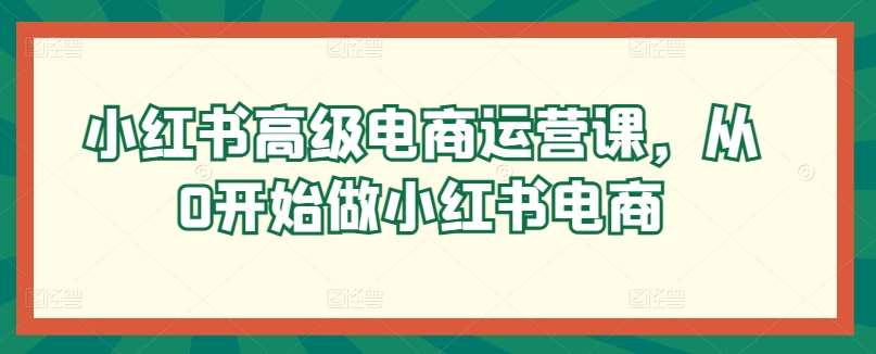 小红书高级电商运营课，从0开始做小红书电商插图零零网创资源网