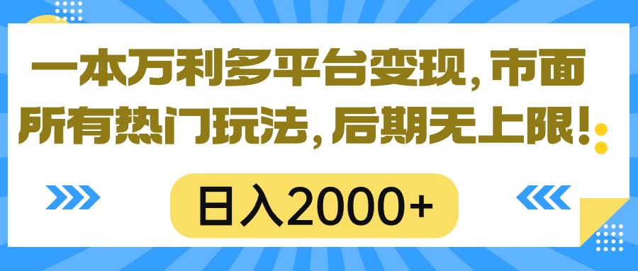 （10311期）一本万利多平台变现，市面所有热门玩法，日入2000+，后期无上限！插图零零网创资源网