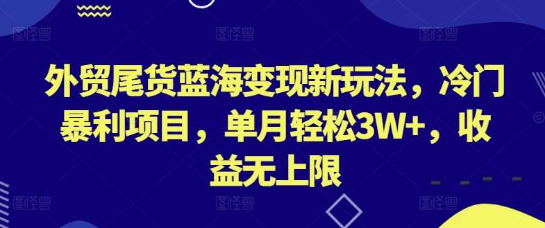 外贸尾货蓝海变现新玩法，冷门暴利项目，单月轻松3W+，收益无上限【揭秘】插图零零网创资源网