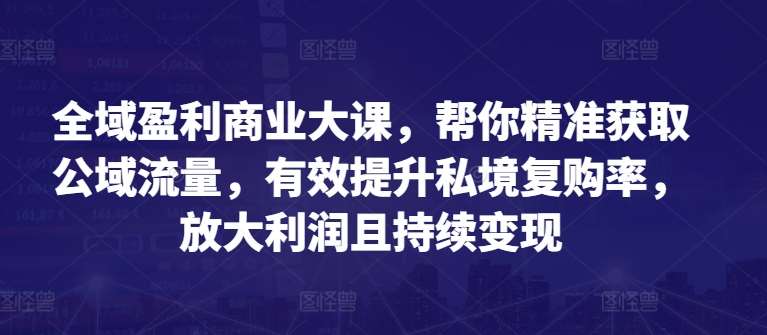 全域盈利商业大课，帮你精准获取公域流量，有效提升私境复购率，放大利润且持续变现插图零零网创资源网