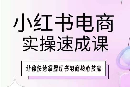 小红书电商实操速成课，让你快速掌握红书电商核心技能插图零零网创资源网