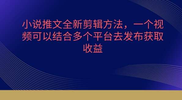 小说推文全新剪辑方法，一个视频可以结合多个平台去发布获取【揭秘】插图零零网创资源网