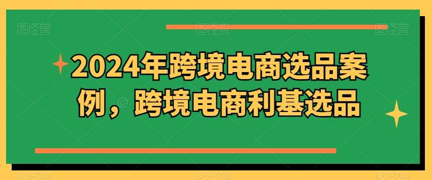 2024年跨境电商选品案例，跨境电商利基选品插图零零网创资源网