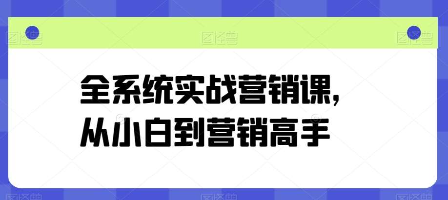 全系统实战营销课，从小白到营销高手插图零零网创资源网