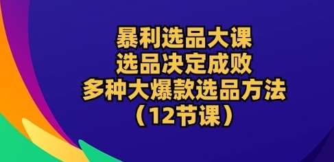 暴利选品大课：选品决定成败，教你多种大爆款选品方法(12节课)插图零零网创资源网