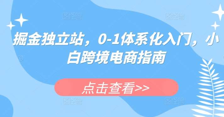 掘金独立站，0-1体系化入门，小白跨境电商指南插图零零网创资源网