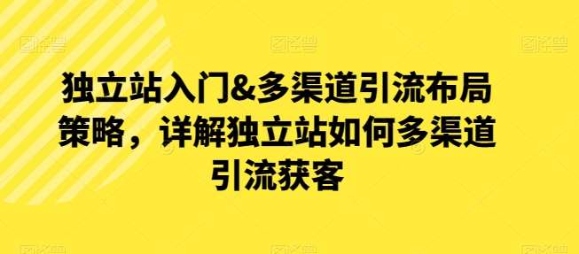 独立站入门&多渠道引流布局策略，详解独立站如何多渠道引流获客插图零零网创资源网