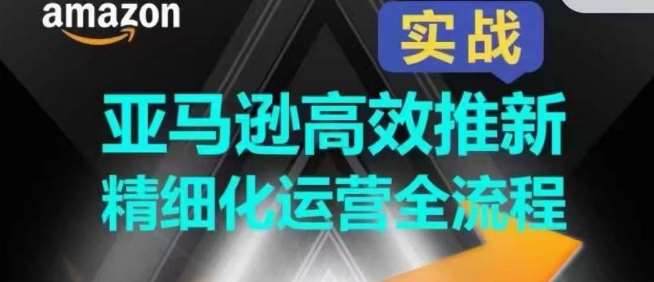 亚马逊高效推新精细化运营全流程，全方位、快速拉升产品排名和销量!插图零零网创资源网