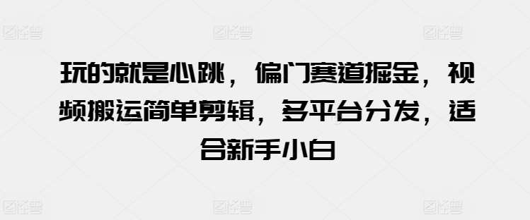 玩的就是心跳，偏门赛道掘金，视频搬运简单剪辑，多平台分发，适合新手小白【揭秘】插图零零网创资源网