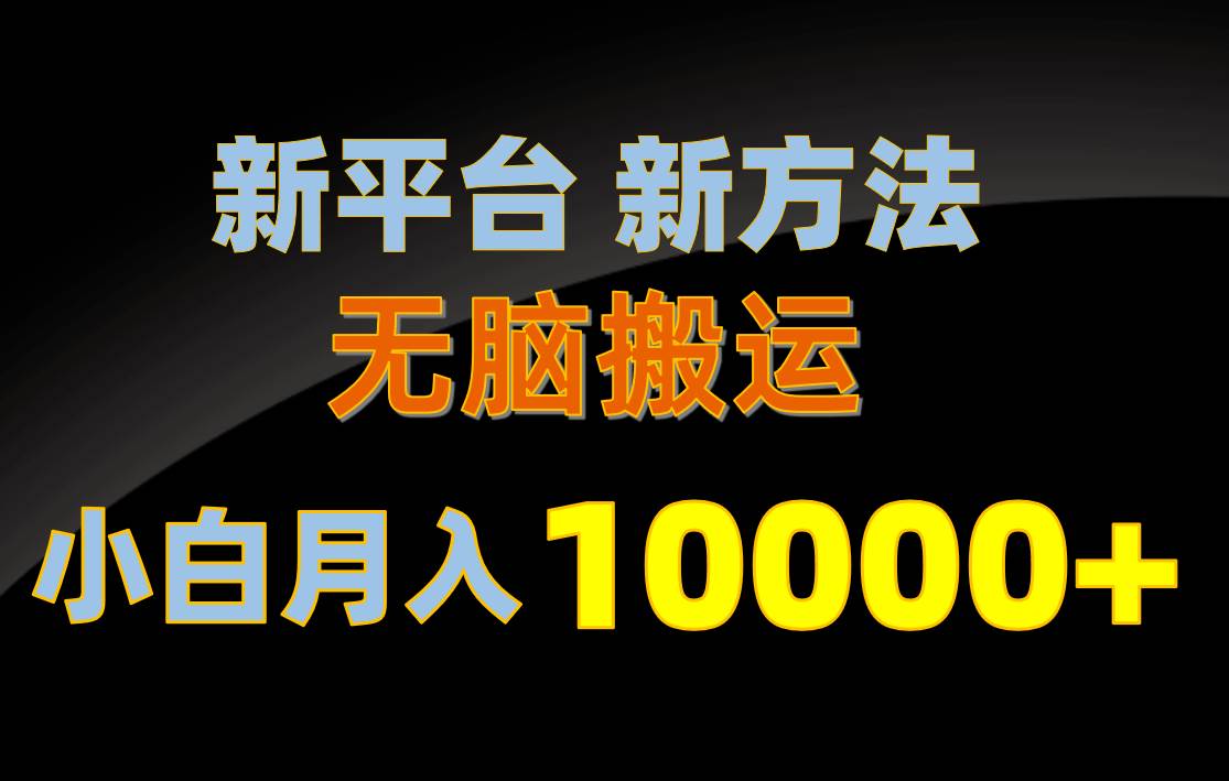 （10605期）新平台新方法，无脑搬运，月赚10000+，小白轻松上手不动脑插图零零网创资源网