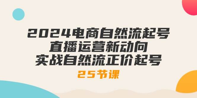 （10609期）2024电商自然流起号，直播运营新动向 实战自然流正价起号-25节课插图零零网创资源网