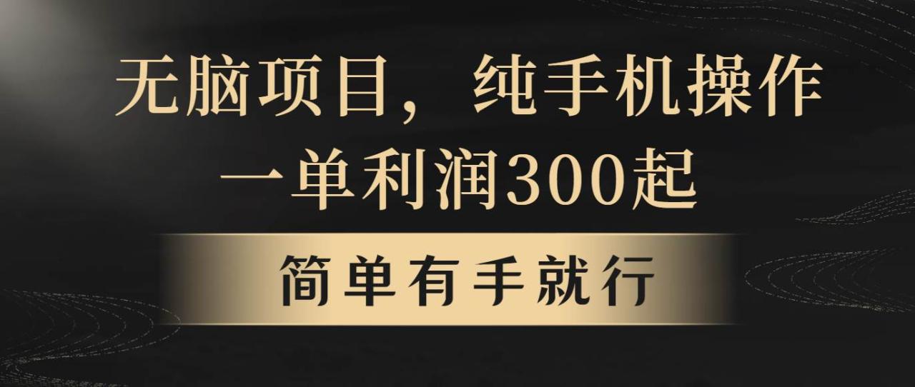 （10699期）无脑项目，一单几百块，轻松月入5w+，看完就能直接操作插图零零网创资源网