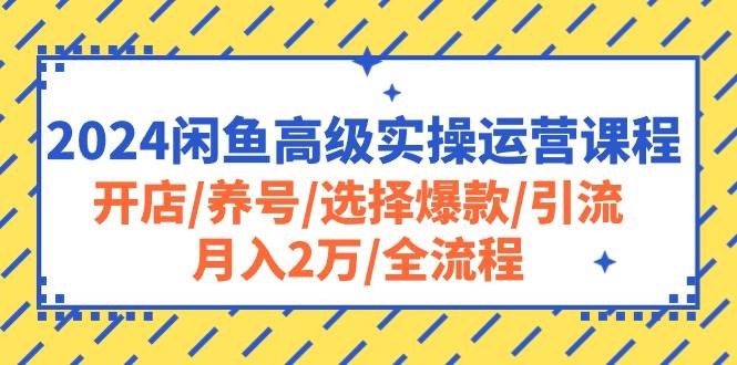 （10711期）2024闲鱼高级实操运营课程：开店/养号/选择爆款/引流/月入2万/全流程插图零零网创资源网