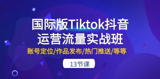 （10712期）国际版Tiktok抖音运营流量实战班：账号定位/作品发布/热门推送/等等-13节插图零零网创资源网