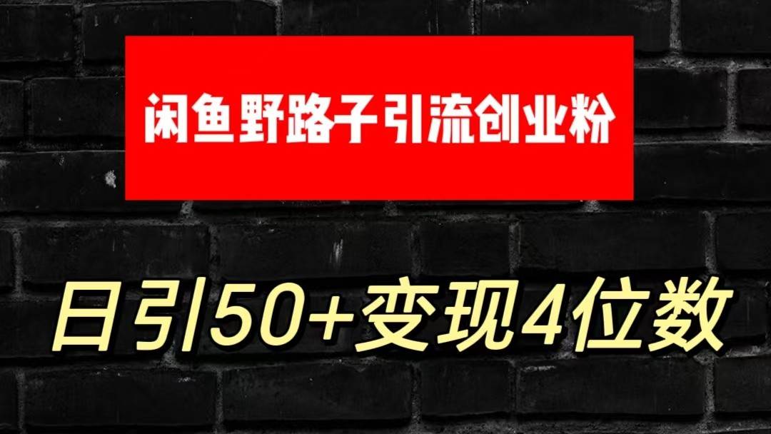 大眼闲鱼野路子引流创业粉，日引50+单日变现四位数插图零零网创资源网