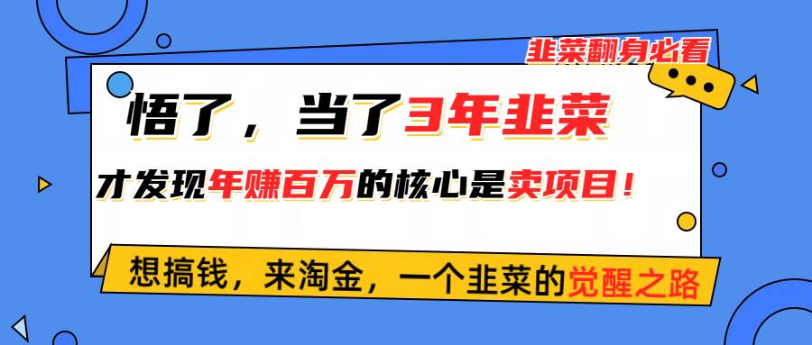 （10759期）悟了，当了3年韭菜，才发现网赚圈年赚100万的核心是卖项目，含泪分享！插图零零网创资源网