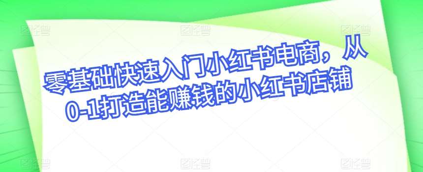 零基础快速入门小红书电商，从0-1打造能赚钱的小红书店铺插图零零网创资源网