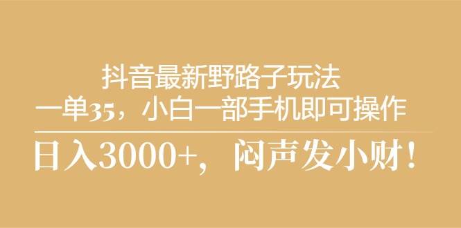 （10766期）抖音最新野路子玩法，一单35，小白一部手机即可操作，，日入3000+，闷…插图零零网创资源网