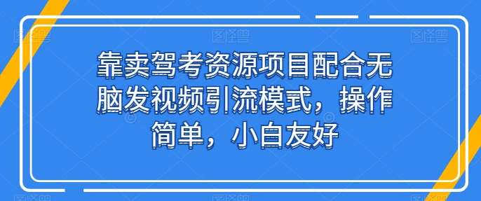 靠卖驾考资源项目配合无脑发视频引流模式，操作简单，小白友好【揭秘】插图零零网创资源网