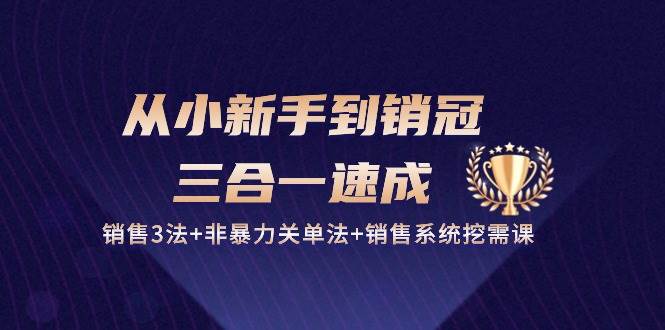 （10799期）从小新手到销冠 三合一速成：销售3法+非暴力关单法+销售系统挖需课 (27节)插图零零网创资源网