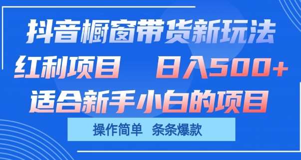 抖音橱窗带货新玩法，单日收益几张，操作简单，条条爆款【揭秘】插图零零网创资源网