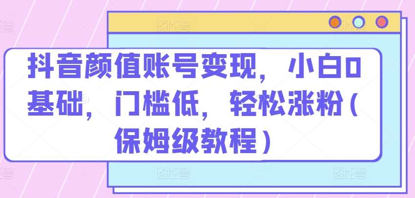 抖音颜值账号变现，小白0基础，门槛低，​轻松涨粉(保姆级教程)【揭秘】插图零零网创资源网