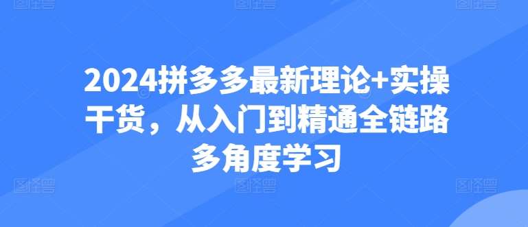 2024拼多多最新理论+实操干货，从入门到精通全链路多角度学习插图零零网创资源网