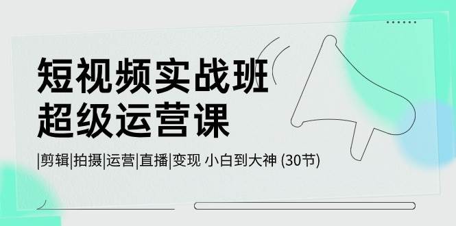 （10836期）短视频实战班-超级运营课，|剪辑|拍摄|运营|直播|变现 小白到大神 (30节)插图零零网创资源网