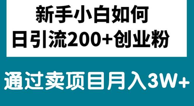 （10843期）新手小白日引流200+创业粉,通过卖项目月入3W+插图零零网创资源网