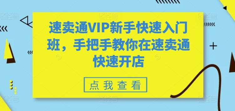 速卖通VIP新手快速入门班，手把手教你在速卖通快速开店插图零零网创资源网