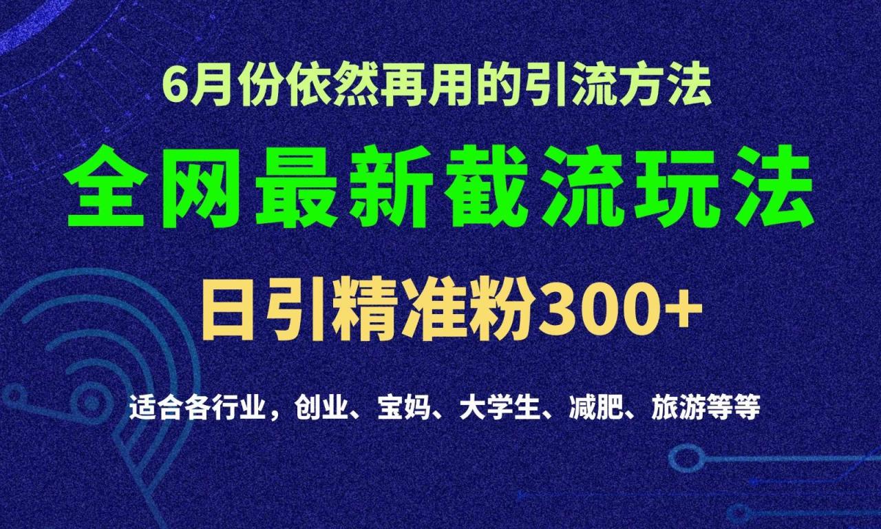 2024全网最新截留玩法，每日引流突破300+插图零零网创资源网