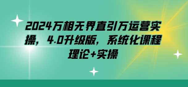 2024万相无界直引万运营实操，4.0升级版，系统化课程 理论+实操插图零零网创资源网