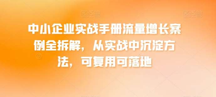 中小企业实战手册流量增长案例全拆解，从实战中沉淀方法，可复用可落地插图零零网创资源网