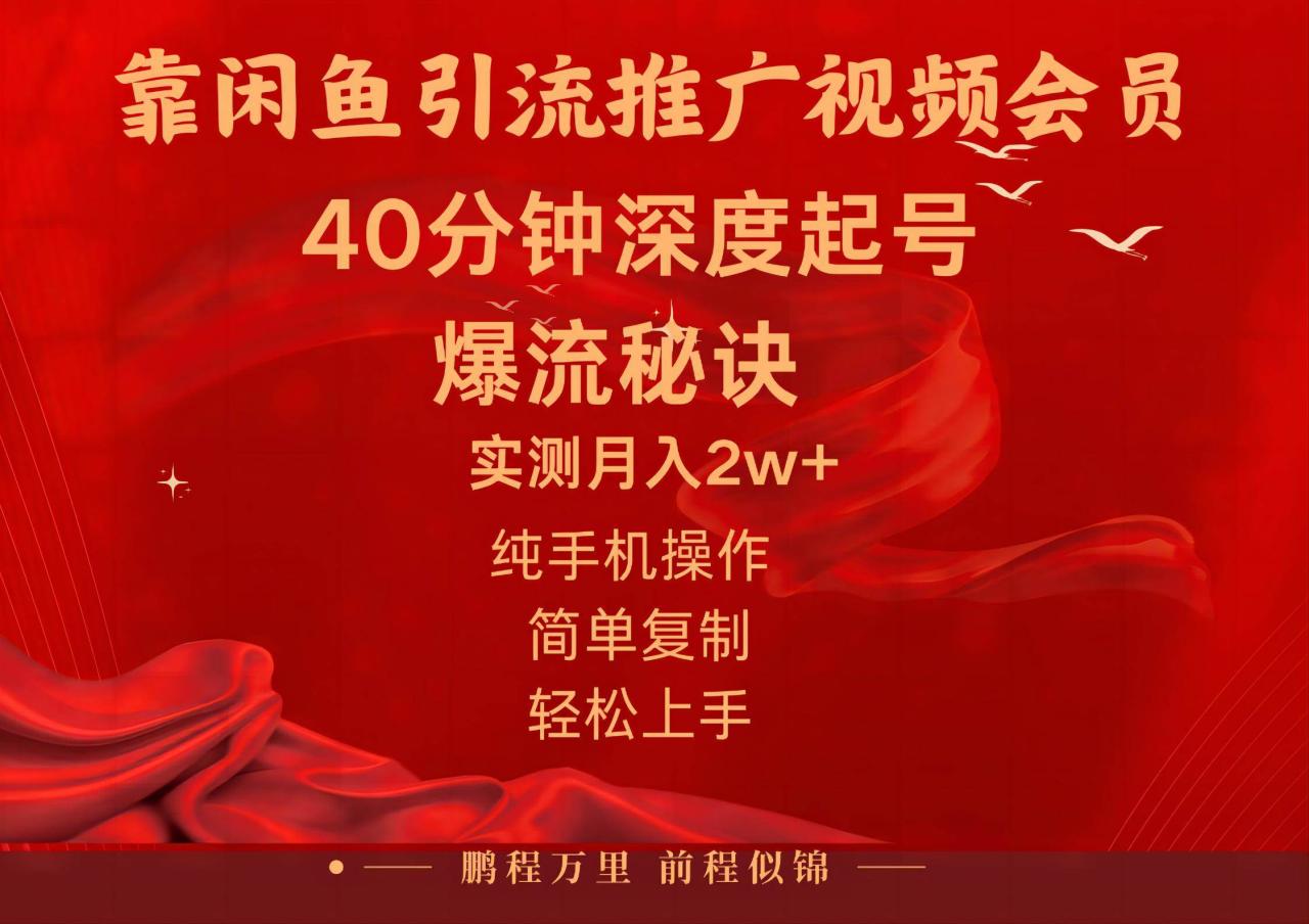 （10896期）闲鱼暴力引流推广视频会员，能做到日入2W+，操作简单插图零零网创资源网