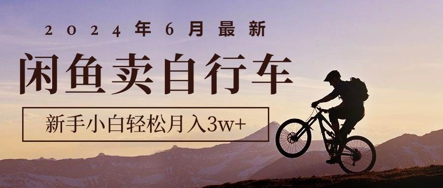 （10915期）2024年6月最新闲鱼卖自行车，新手小白轻松月入3w+项目插图零零网创资源网