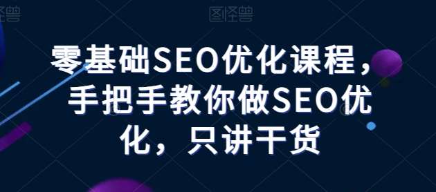 零基础SEO优化课程，手把手教你做SEO优化，只讲干货插图零零网创资源网