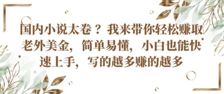 国内小说太卷 ?带你轻松赚取老外美金，简单易懂，小白也能快速上手，写的越多赚的越多【揭秘】插图零零网创资源网