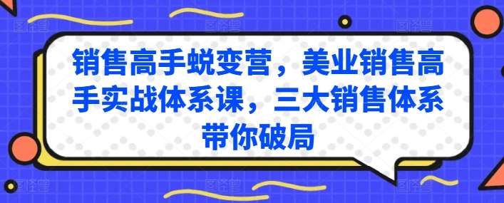 销售高手蜕变营，美业销售高手实战体系课，三大销售体系带你破局插图零零网创资源网